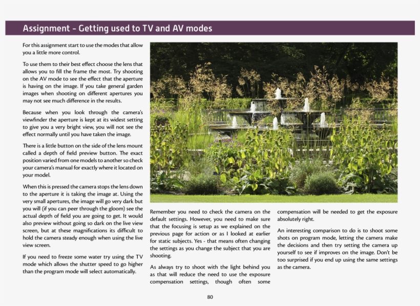 Joomla Plugins - Yard, transparent png