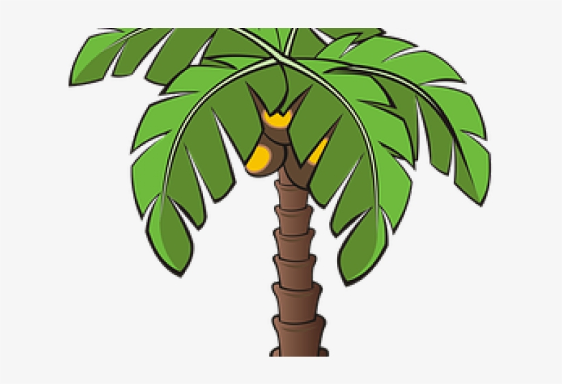 Pictures Of A Palm Tree - Tree Plants Clipart, transparent png