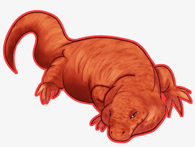 We Rate Lizards On Twitter Png Transparent Lizards - Tegu Lizard Art, transparent png