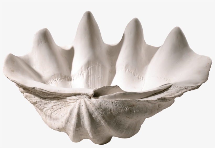 Large Shell Bowl, transparent png
