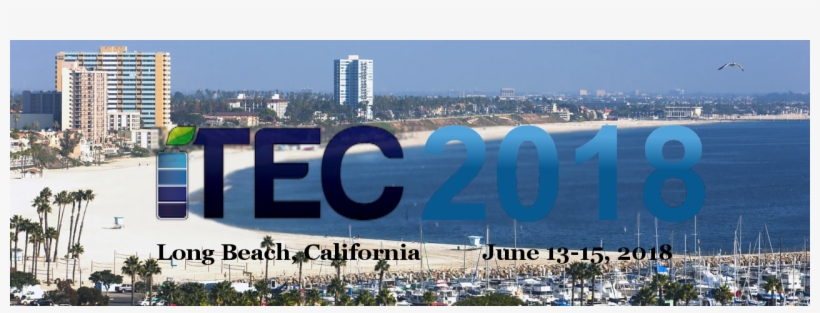 Zed Tang Liked This - Long Beach, transparent png
