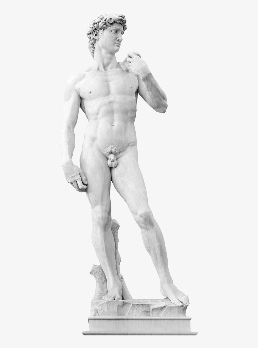 Dr Norbert Pallua - David, transparent png