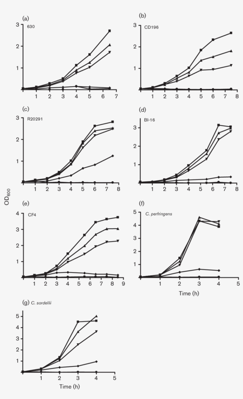 Growth Curves For P-cresol Tolerance - Diagram, transparent png