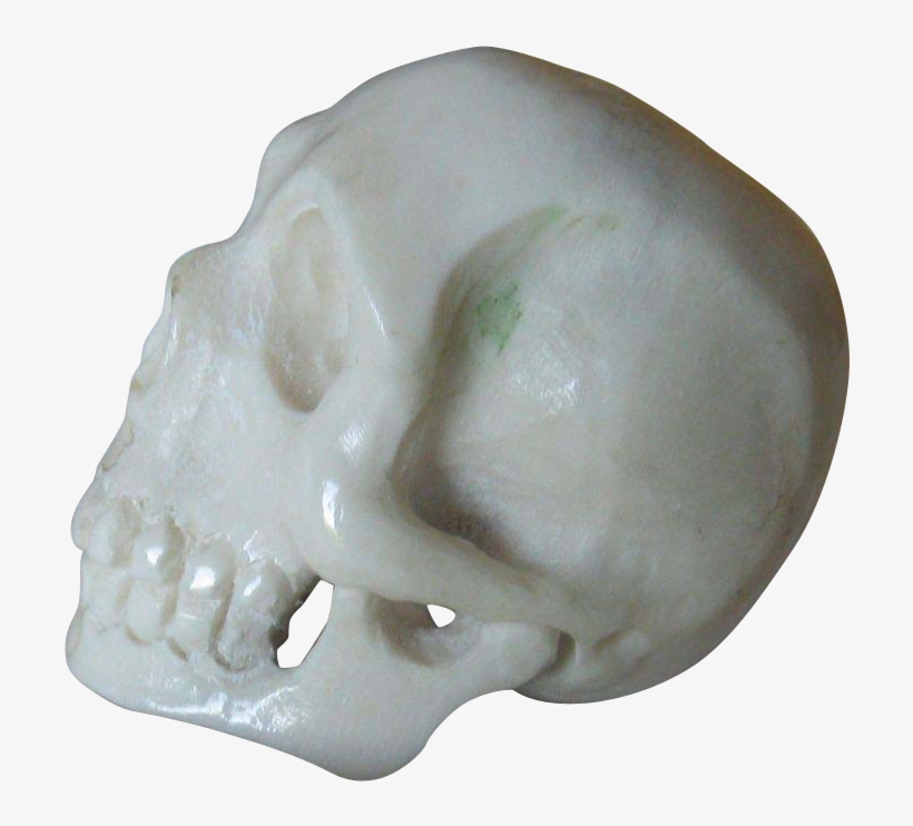 Deer Antler Netsuke - Skull, transparent png