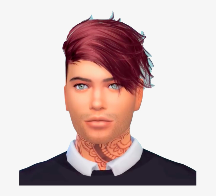 Adult Jay - Lace Wig, transparent png