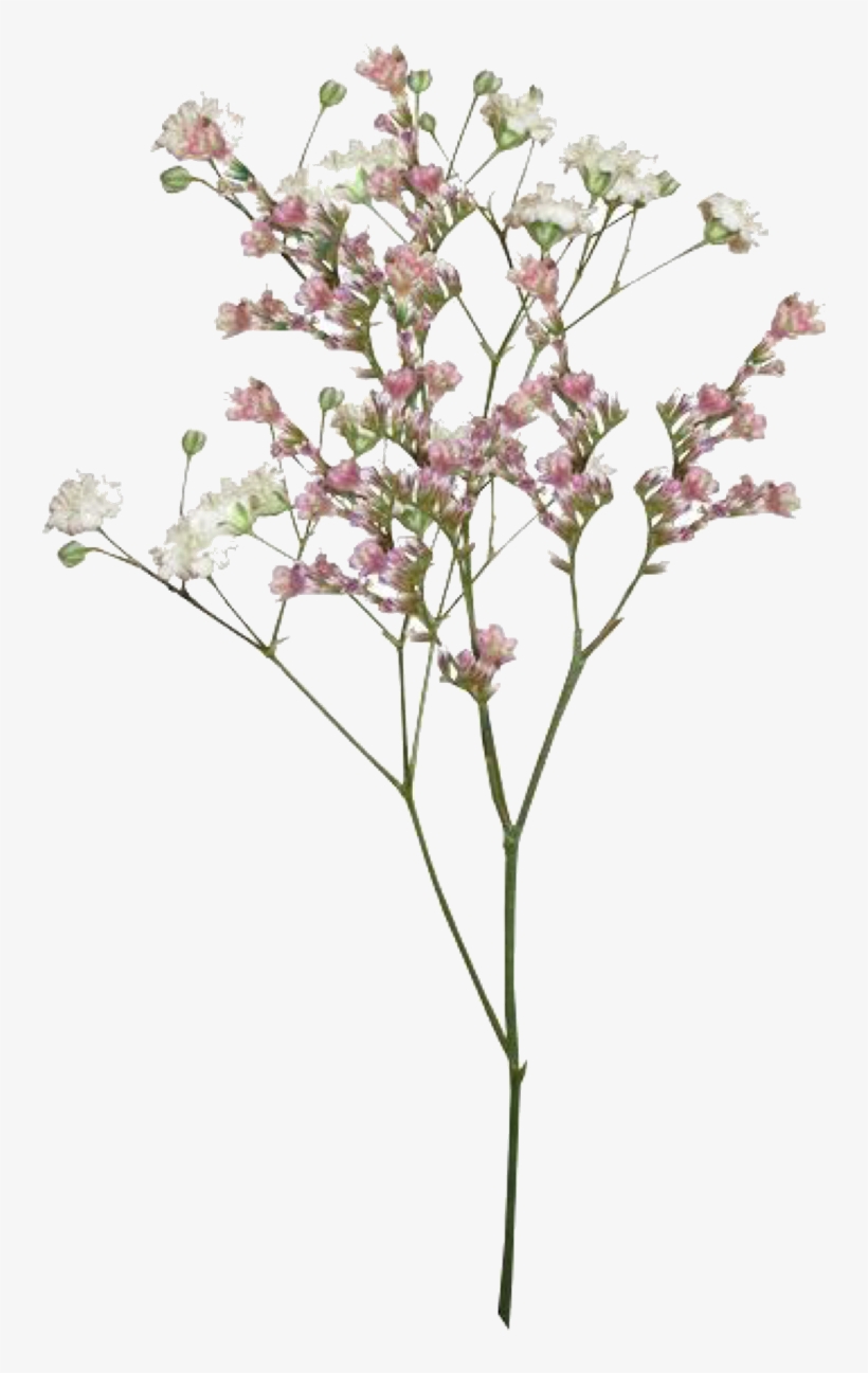 Pngs /like Or Reblog If Used/ - Aesthetic Vintage Flower Png, transparent png