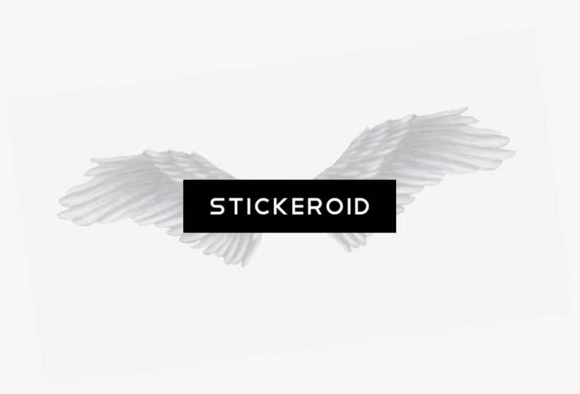 White Wings - Eagle, transparent png