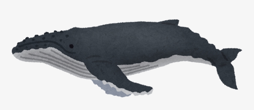 Humpback Whale Png Amp Humpback Whale Transparent Clipart - Humpback Whale, transparent png