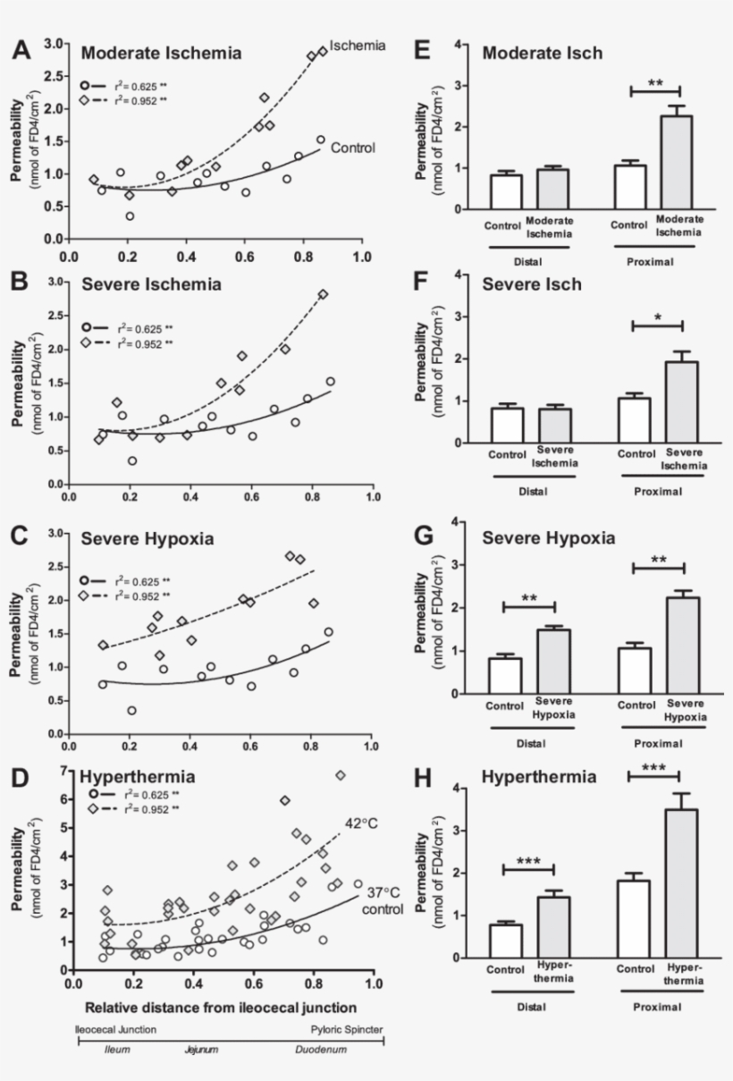 Download - Diagram, transparent png