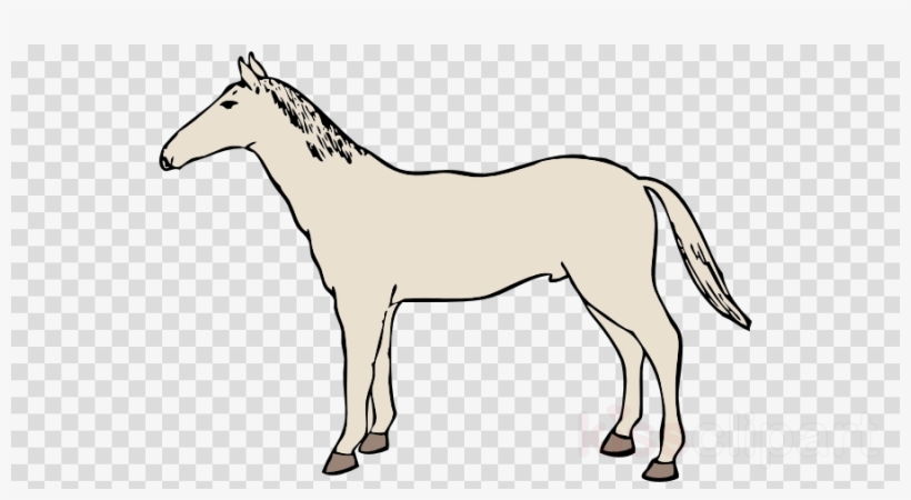 White Horse Clipart Arabian Horse Shire Horse Clip - Horse Drawing Shower Curtain, transparent png