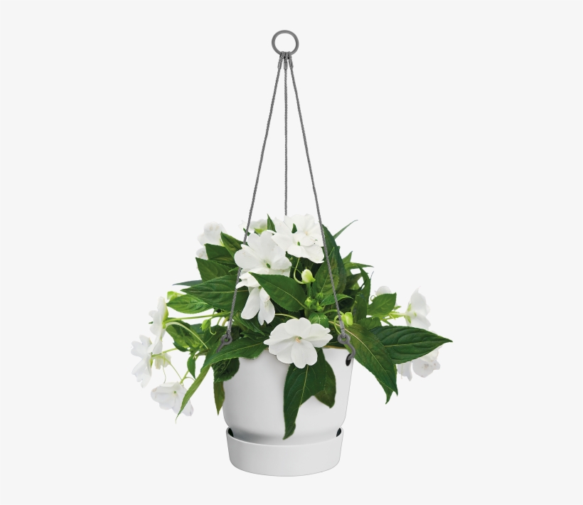 Prev - Artificial Flower, transparent png