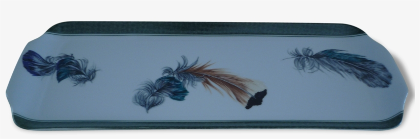 A Flat Cake Porcelain From Limoges Model "feathers" - Limoges Porcelain, transparent png