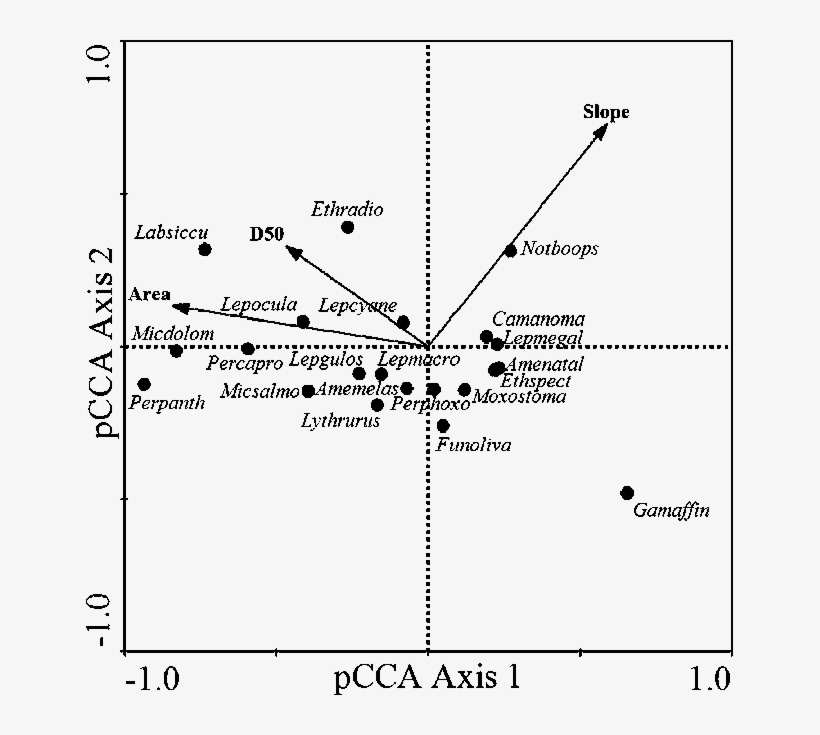Pcca Biplot Of Fish Species And Basin Area, Median - Biplot, transparent png