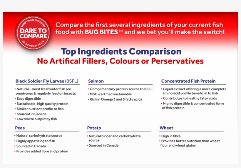 Dare To Compare - Black Soldier Fly, transparent png