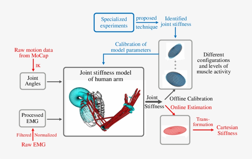 Schematic Diagram Of The Procedure Of The Proposed - Joint Stiffness, transparent png
