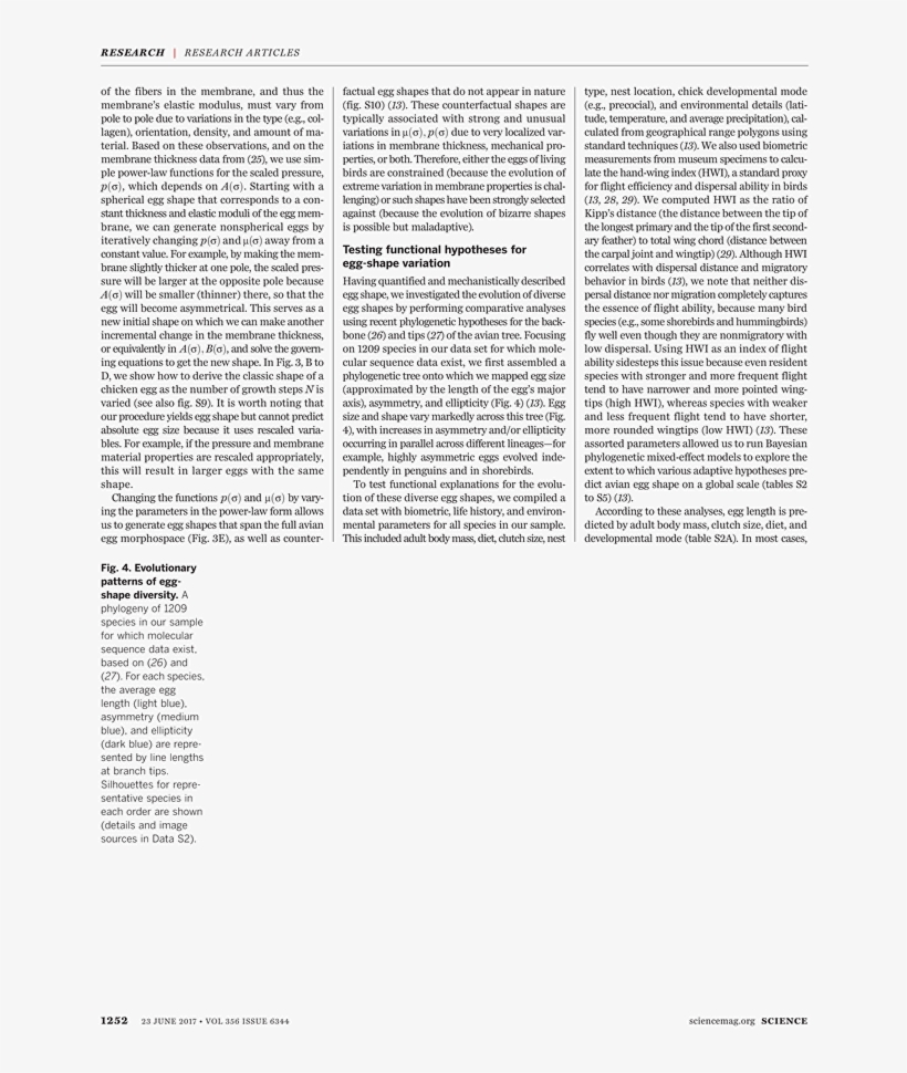 Discovery Of Achilles On Skyros, transparent png