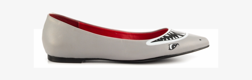 Transparent Flats Pointed Toe Png Transparent, transparent png