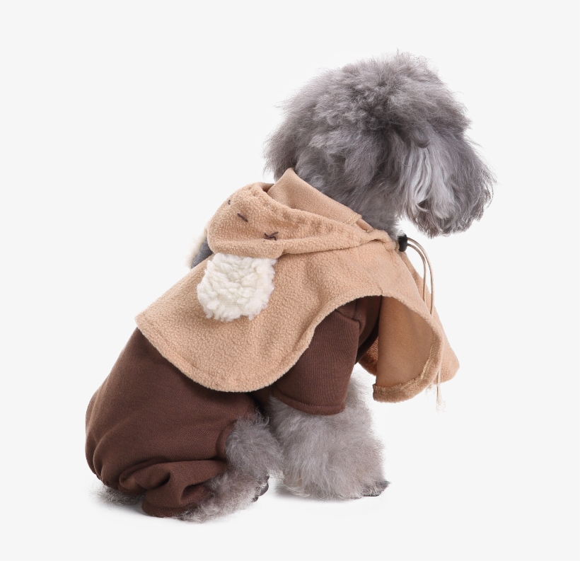 Costume, transparent png