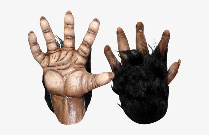 Monster Hands Png Png Black And White Download - Chimp Hands And Feet, transparent png