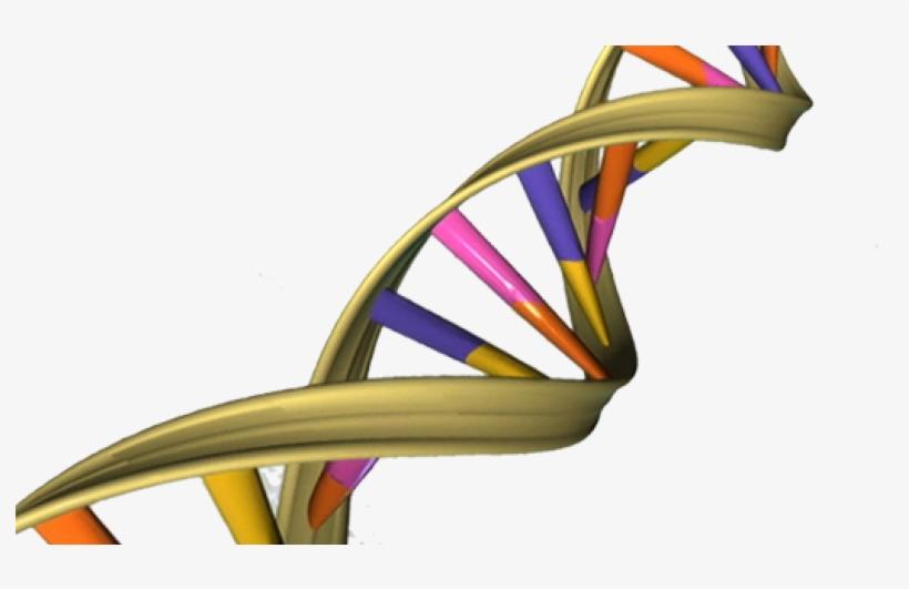A Pioneer's Views On Science And Life - Malaria Genetic Engineering, transparent png
