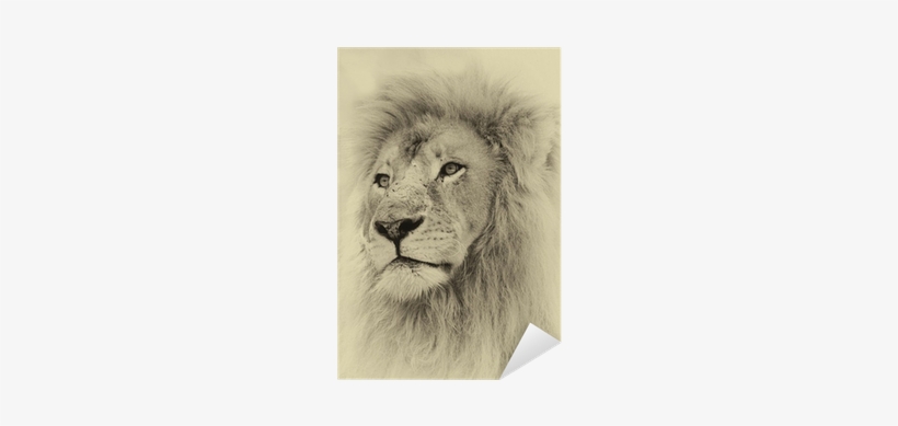 Toned Face Sticker Pixers - Doomsday Diaries Iv: Luke And The Lion, transparent png