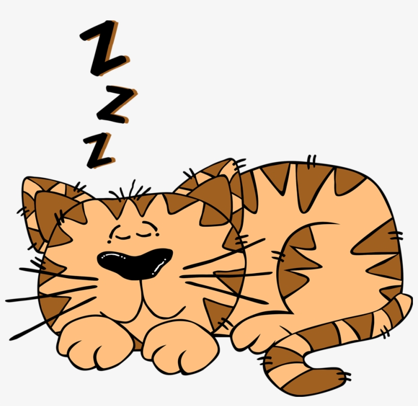 Free Stock Photo - Cat Sleeping Clipart, transparent png