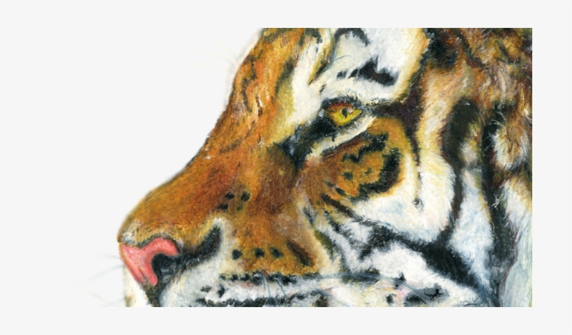 My Latest Artwork - Drawing, transparent png