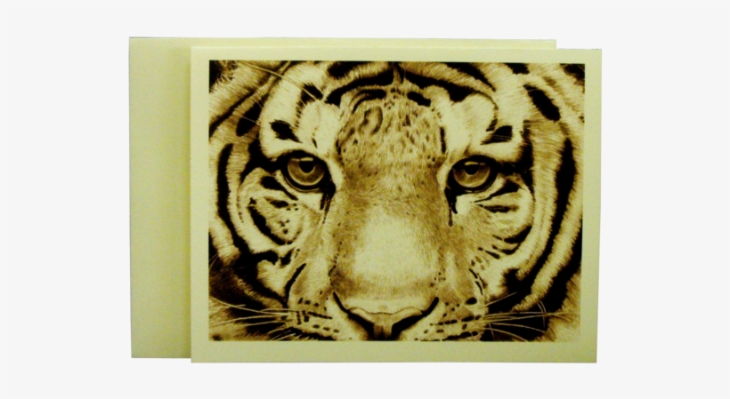 Clemson University Tiger Face Note Cards - Schetsen &amp; Tekenen Voor Beginners, transparent png