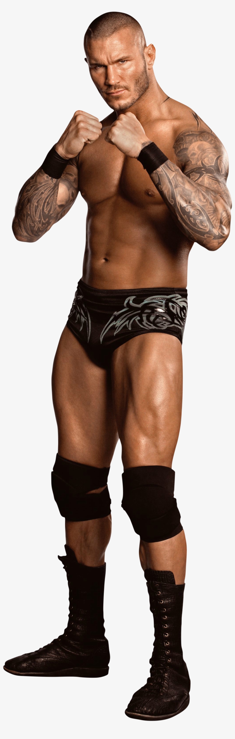 Randy Orton Png Image - Randy Orton Full Body, transparent png
