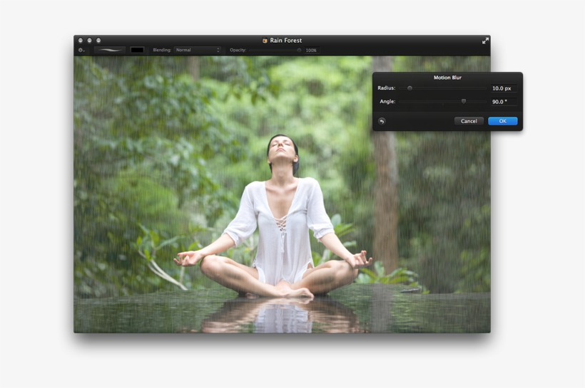 Yoga In The Jungle, transparent png