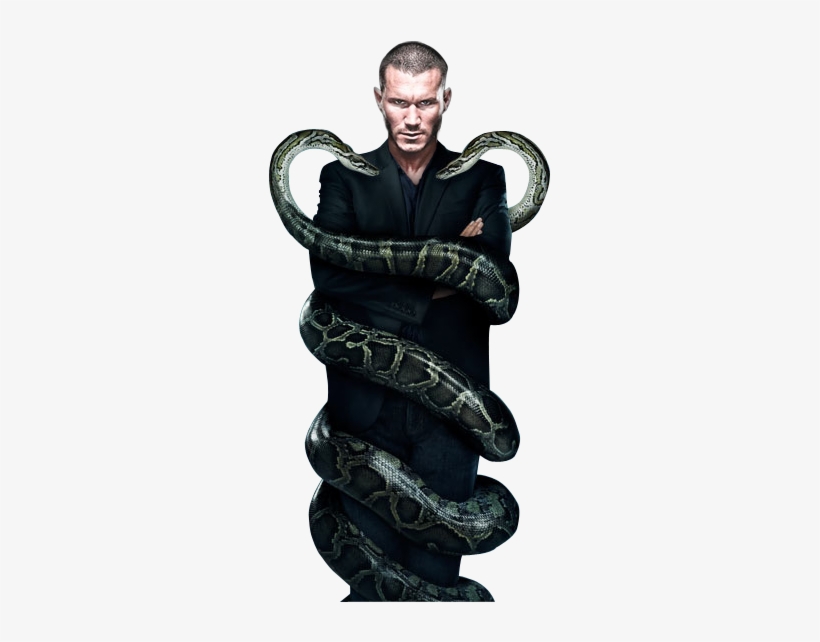 Randy Orton The Viper Render By Randy Keith Orton Randy - Dr House 6 Temporada, transparent png