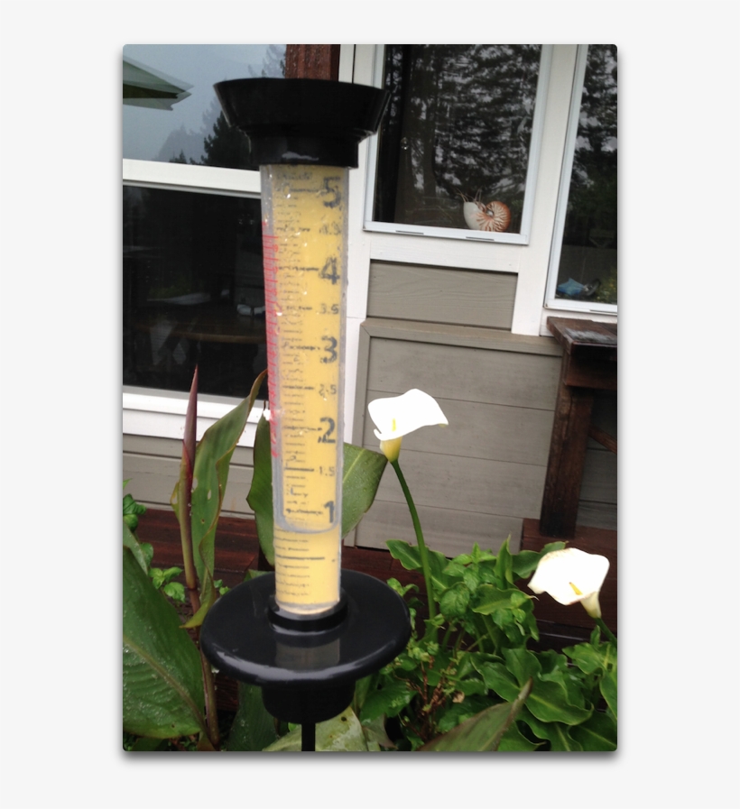 So How Much Is The Error Well, At The Simplest Level - Yard, transparent png