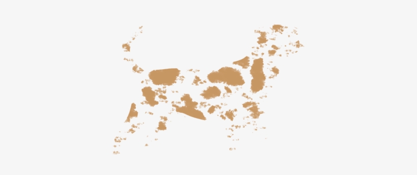 Dirt Splatter Png - Animal, transparent png