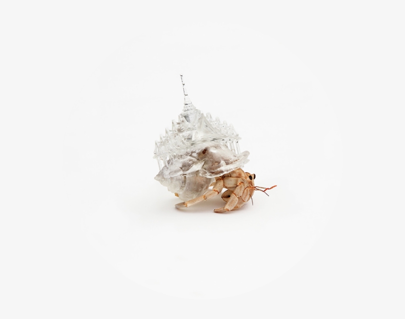 Miniature Windmills, Churches, And Even Entire Cities - Shelter For Hermit Crabs, transparent png