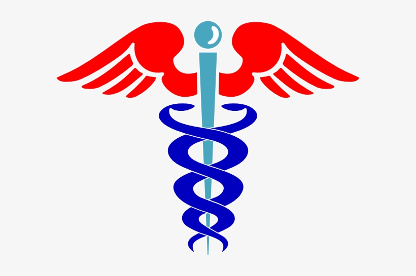 Svg Royalty Free Library Healthcare Clipart Public - Health Clipart, transparent png