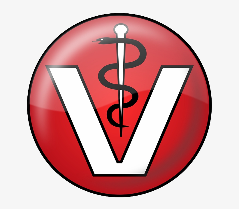 Logo, Animals, Doctor, Hospital, Pharmacy, Medicine - Logos Vétérinaire, transparent png