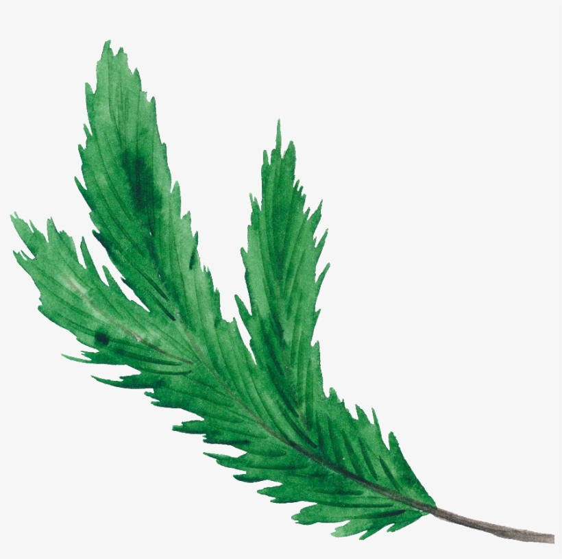 This Graphics Is Green Christmas Leaf Christmas Transparent - Christmas Day, transparent png