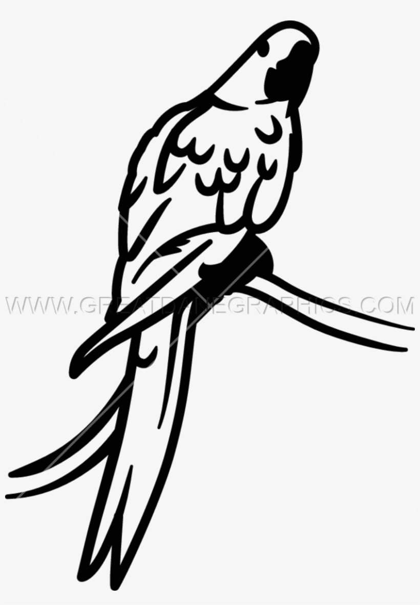 Macaw Clipart Hyacinth Macaw - Clip Art, transparent png