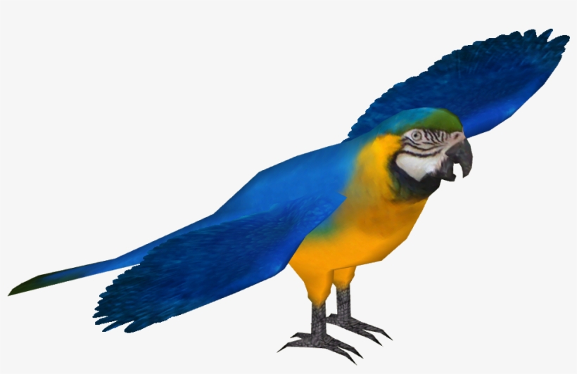 Blue And Gold Macaw - Zoo Tycoon 2 Macaw, transparent png