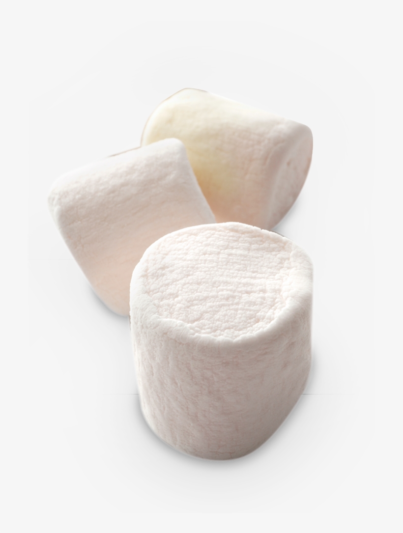 Banner Library Marshmallow Transparent - Goat Cheese, transparent png