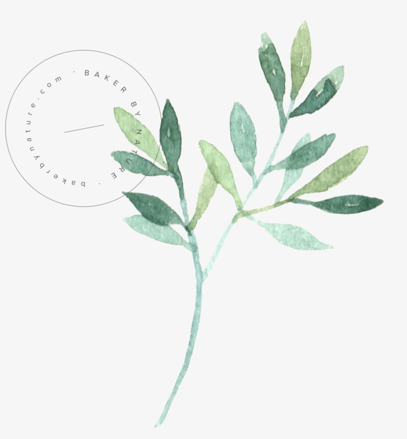 Smoothie, transparent png