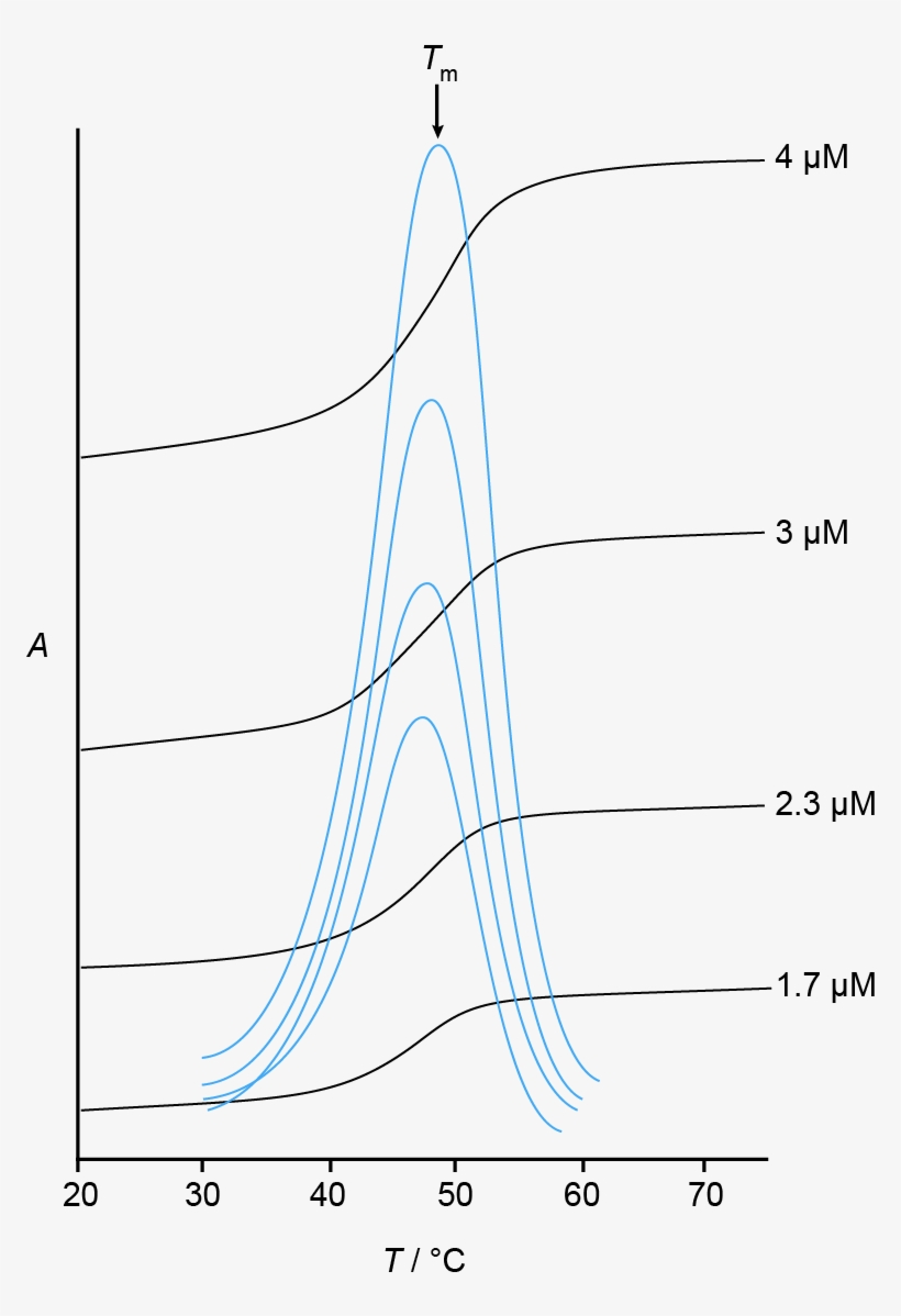 Uv Melting Curves And Derivatives - Derivative, transparent png
