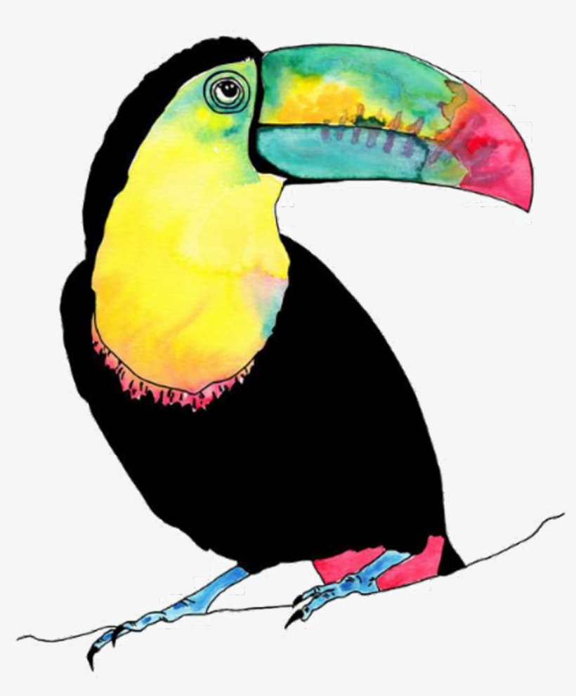 Tucan Bird Vogel Animal Birds Animals Petsandanimals - Watercolour Tropical Birds, transparent png
