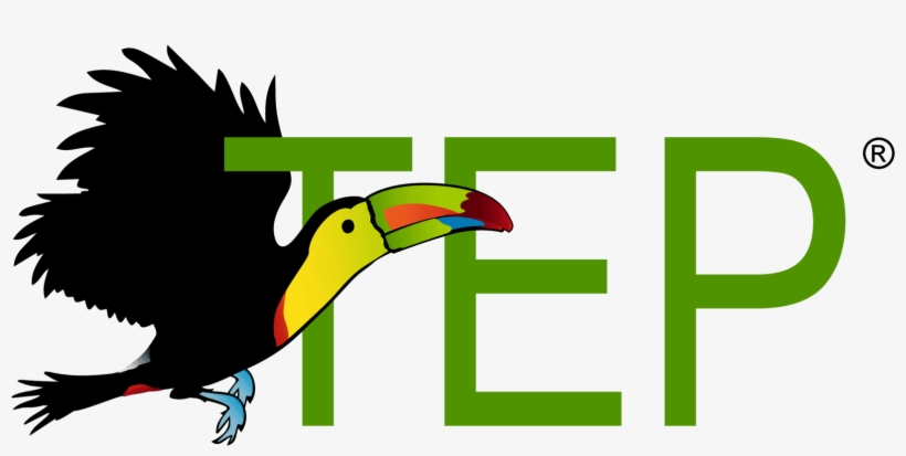 Piciformes, transparent png