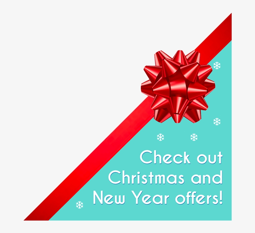 Booking Terms & Conditions - Graphic Design, transparent png