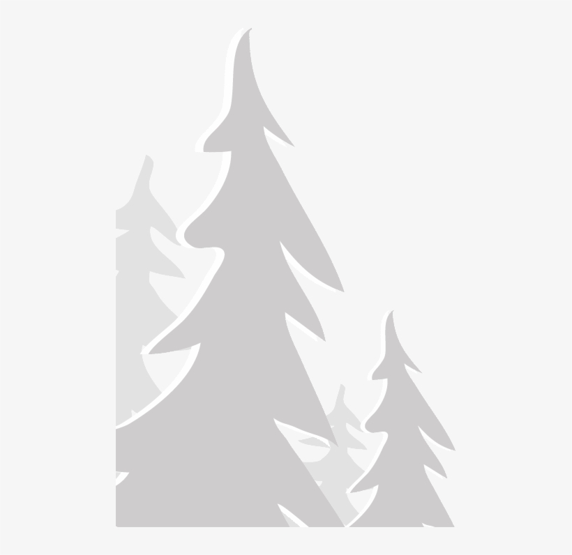 Apex Outfitter And Board Co - Apex Outfitter & Board Co., transparent png