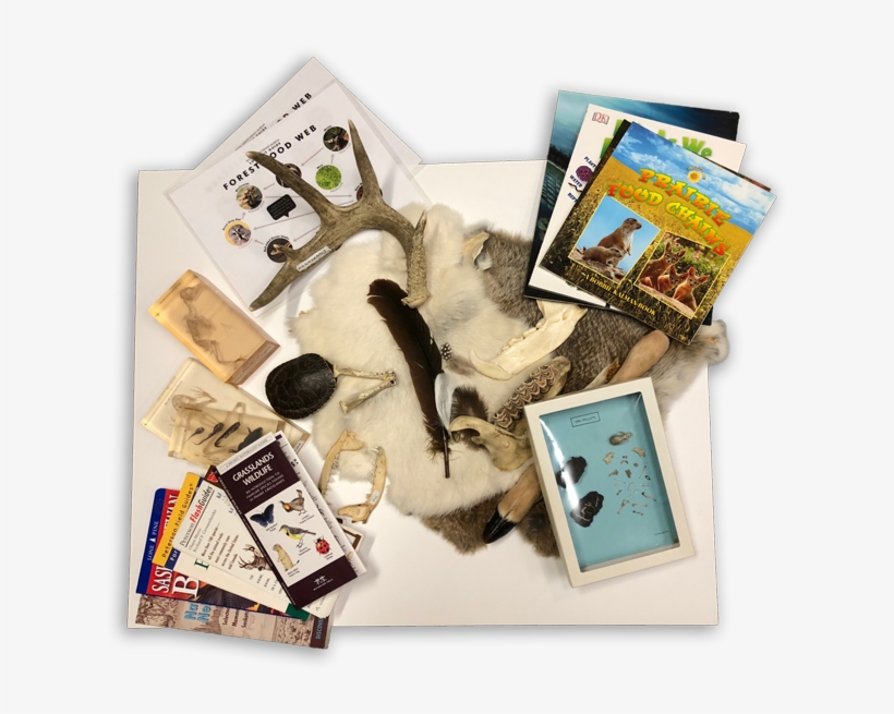 Books, transparent png