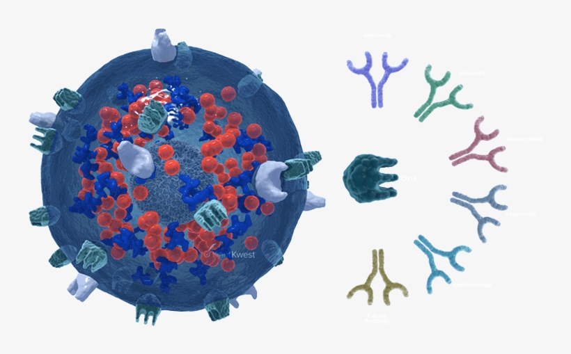 Image Is Not Available - Creative Arts, transparent png