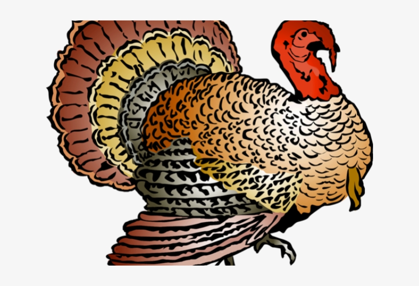 Korn Clipart Thanksgiving - Thanksgiving Turkey Clipart Free, transparent png