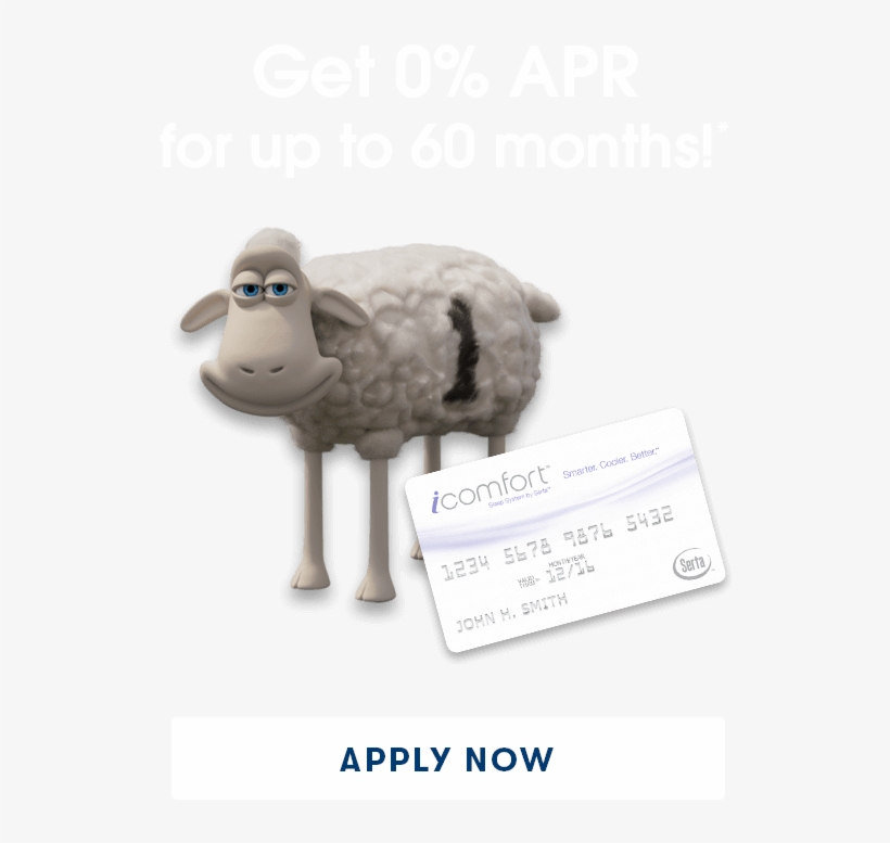 0% Financing Up To 60 Months - Finance, transparent png
